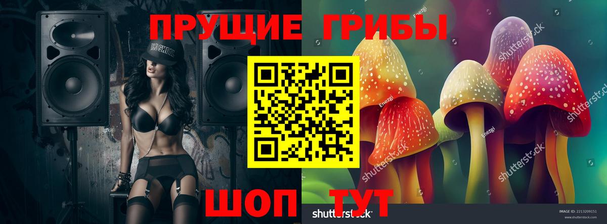 Бор  Галлюциногенные грибы ЛСД  Псилоцибиновые грибы Cubensis  Вход с VPN 