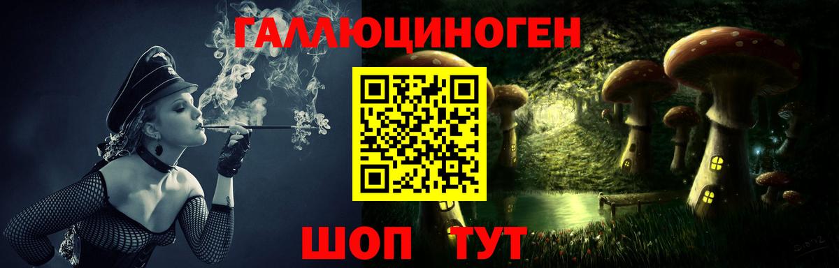 Псилоцибиновые грибы прущие грибы Бор